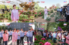 <b>展示品牌取保守文化交融...做为摆布家居年度I</b>