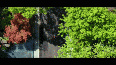 共勾当场合等为小区所有栖身人员配合利用权的